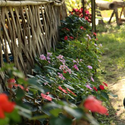 Conception de massifs